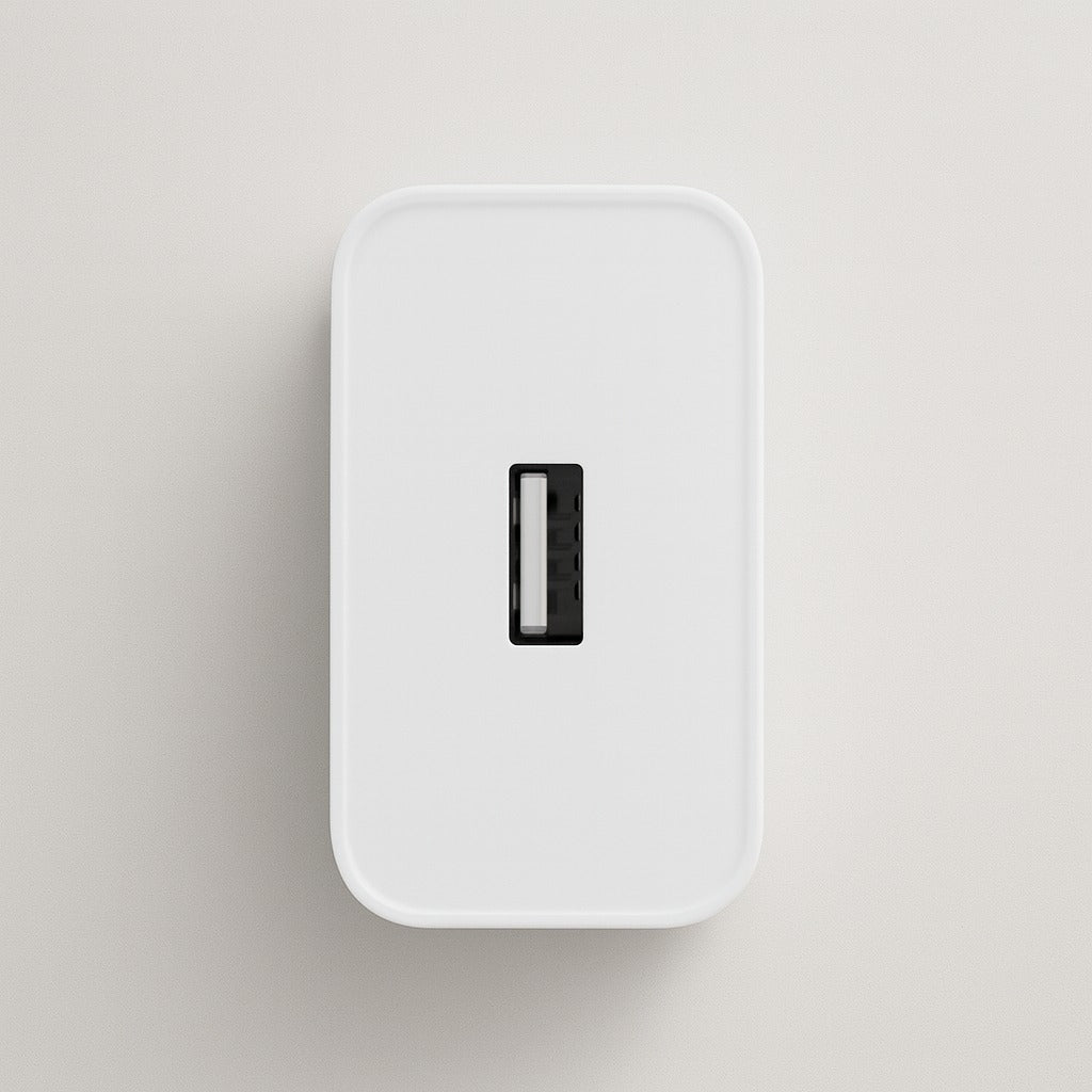 Oppo SUPERVOOC 100W Power Adapter